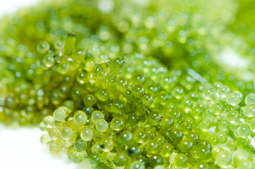 green caviar