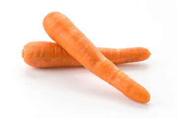 carrot