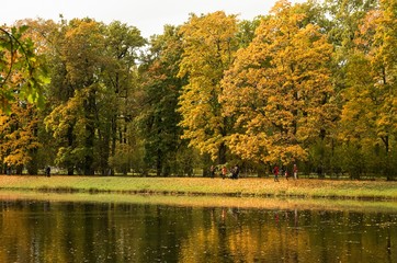 Autumn landscape in the Alexander Park, Tsarskoye Selo, Russia.