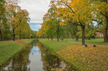 Autumn landscape in the Alexander Park, Tsarskoye Selo, Russia.