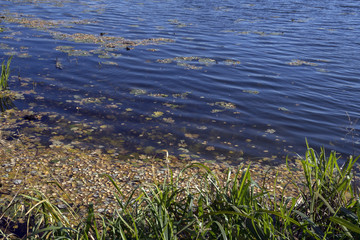 Осень, река.