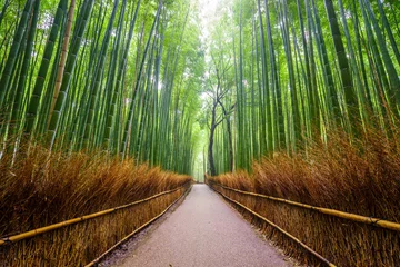 Fotobehang Pad naar bamboebos, Arashiyama, Kyoto, Japan. © lkunl