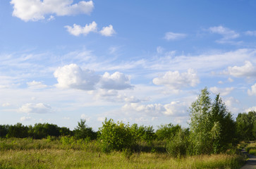 Summer landscape with picturesque blue sky in clouds 