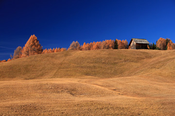 Autunno in val Gardena, Dolomiti, Alto Adige Sud Tirol