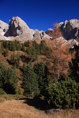 Autunno in val Gardena, Dolomiti, Alto Adige Sud Tirol