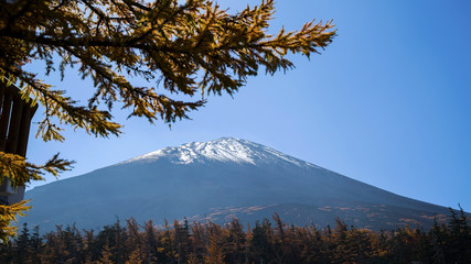 fuji mountain