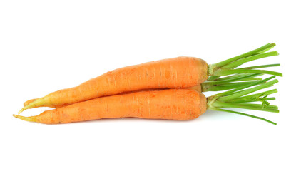 fresh carrots isolated on white background