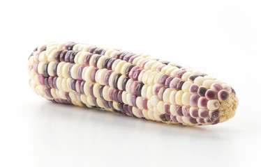 Waxy corn