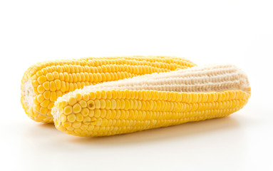 fresh corn