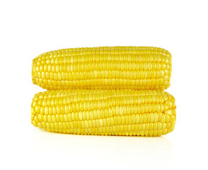 ears of Sweet corn on white background