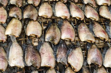 Dried fishs