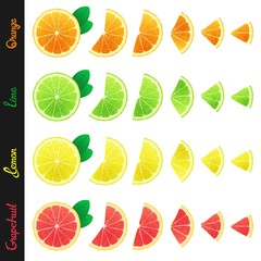 Big set of citrus slices of orange, lemon, lime and grapefruit. Isolated design elements