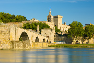 Fototapeta na wymiar Avignon in a sunny summer day