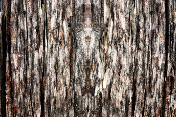 old wooden surface.