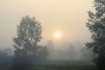 Fototapeta na wymiar Misty morning
