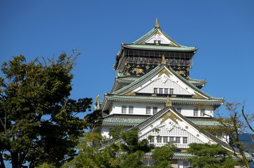 Osaka castle.