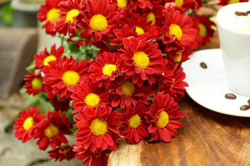 Red chrysanthemum flower ; Dendranthemum grandifflora.