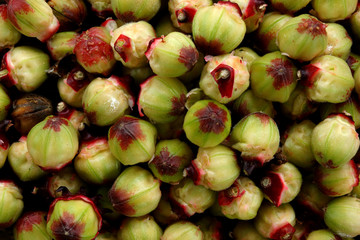 Hibiscus sabdariffa or roselle fruits