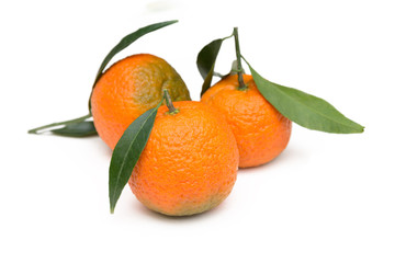 Mandaranci su fondo bianco 
