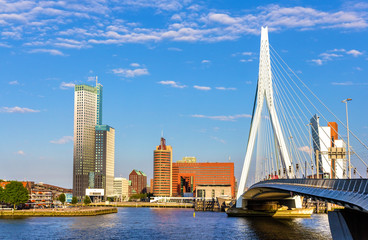 Fototapeta na wymiar View of Erasmus Bridge in Rotterdam, Netherlands