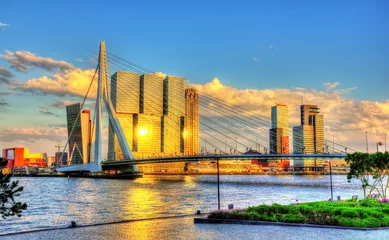 Crédence de cuisine en verre imprimé Rotterdam Pont Erasmus à Rotterdam - Pays-Bas