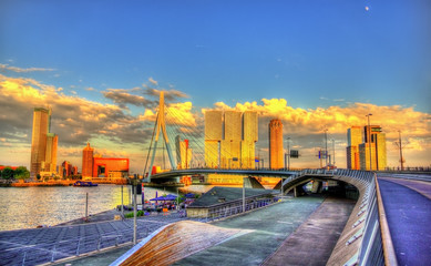 Erasmusbrug in Rotterdam - Nederland