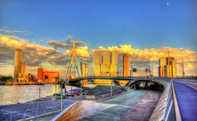 Photo sur Plexiglas Pont Érasme Erasmus Bridge in Rotterdam - Netherlands