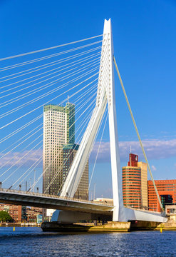 View of Erasmus Bridge in Rotterdam, Netherlands