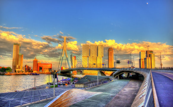 Erasmus Bridge in Rotterdam - Netherlands