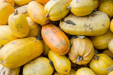 Yellow pumpkins as background