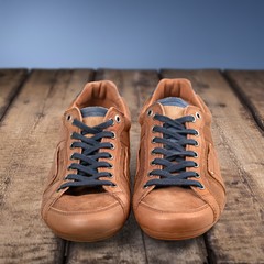 Naklejka premium Hiking Boot.