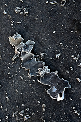Frosty burned paper