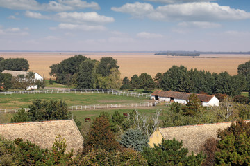 farm with horses arerial view landscape
