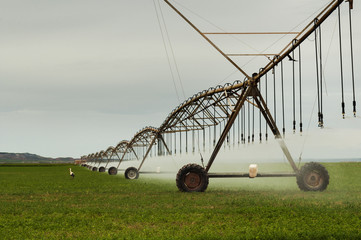 Irrigation sistem in a cultivated landscape