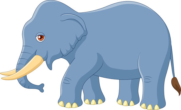 Cartoon elephant mascot isolated on white background