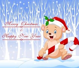Cartoon funny baby bear holding Christmas candy with winter background