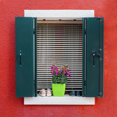 Traditional colorful residential house window with opened shutters and flower pot in venetian island of Burano