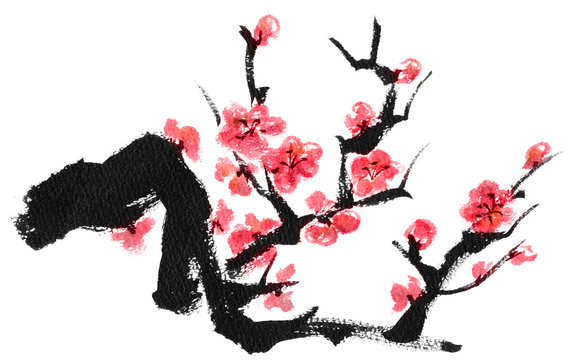 7 915 Best 梅の木 Images Stock Photos Vectors Adobe Stock
