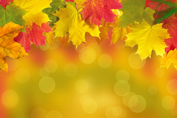 Autumn leaves frame over blurred nature background