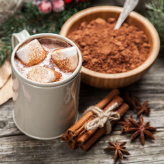 Cocoa drink with marshmallows