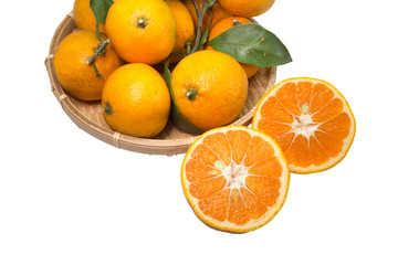 収穫したミカン