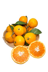 収穫したミカン