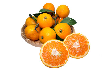 収穫したミカン