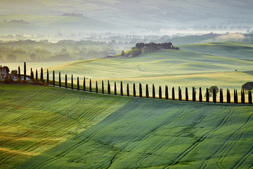 Fototapeta na wymiar View of countryside in Tuscany province on sunrise. Italy