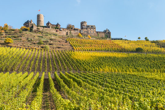 Mosel - Burg Thurant mit Weinberg