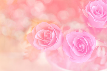 Fototapeta na wymiar Roses on the pink background