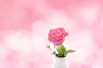 Pink roses on the bokeh background