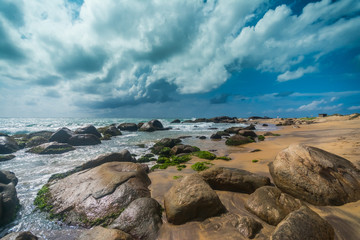 Fototapeta na wymiar Untouched tropical beach in Sri Lanka 