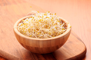 tender alfalfa sprouts in wooden bowl