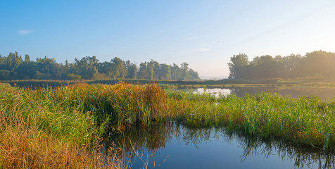 Shore of a lake at sunrise in autumn